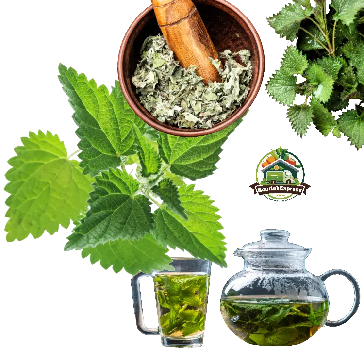 NETTLE LEAVES (STINGING)
