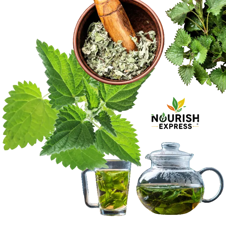 NETTLE LEAVES (STINGING)