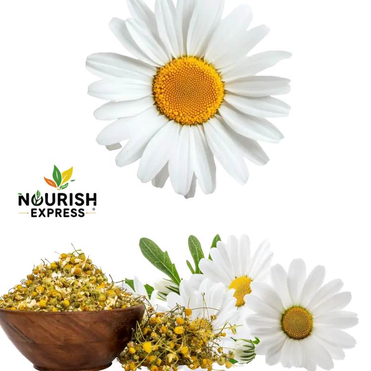 CHAMOMILE FLOWER