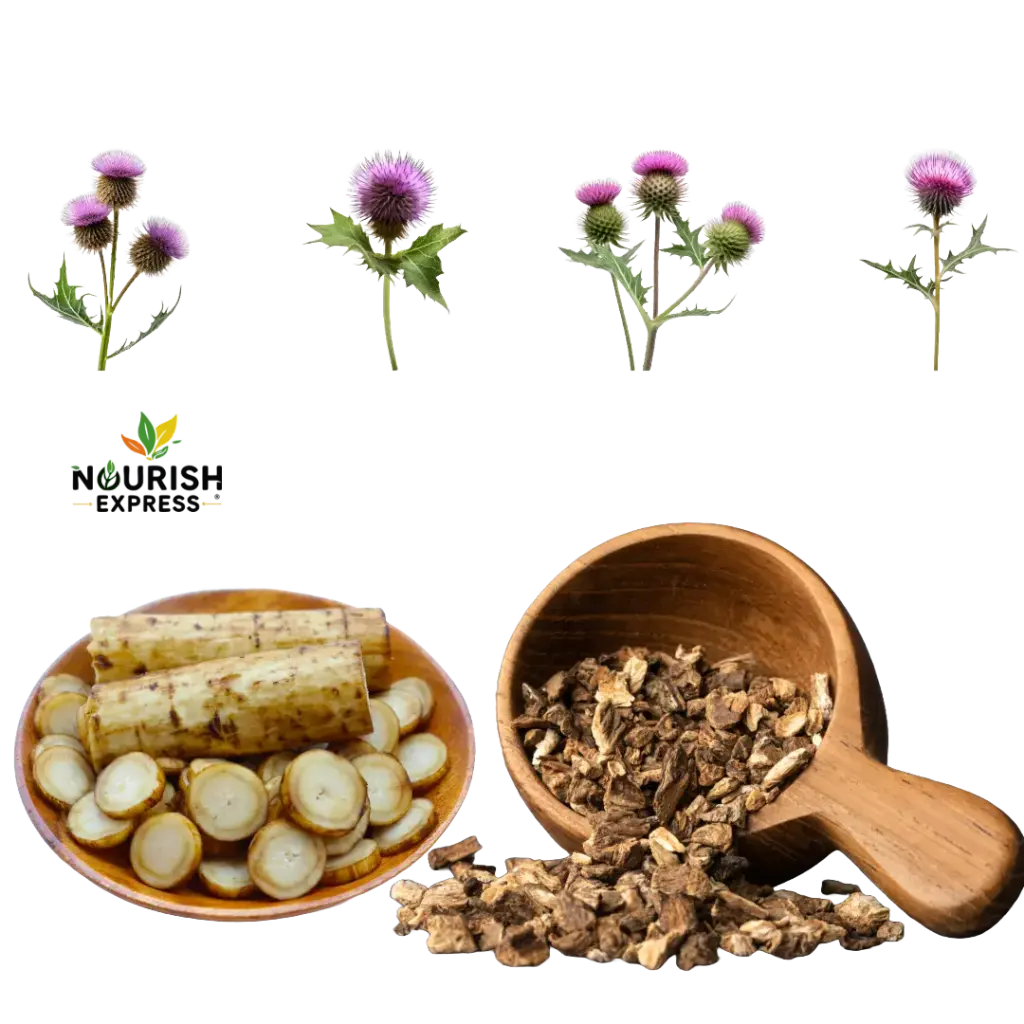 BURDOCK ROOT