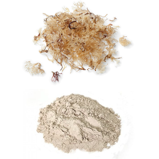 Irish Moss Powder