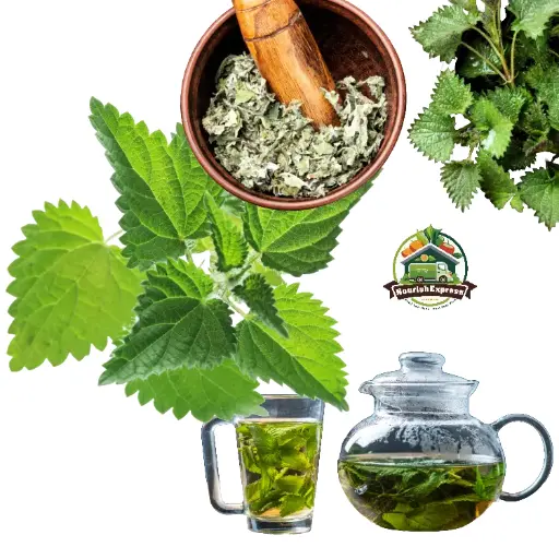 NETTLE LEAVES (STINGING)