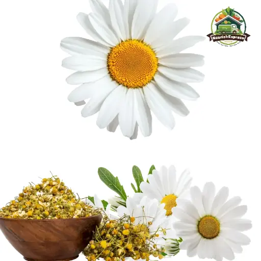 CHAMOMILE FLOWER