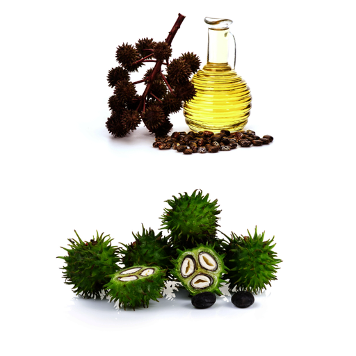 CASTOR OIL