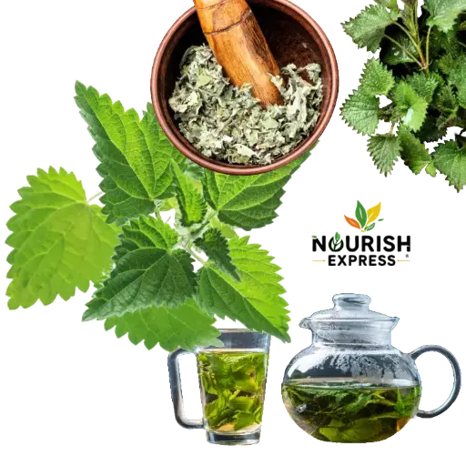 NETTLE LEAVES (STINGING)