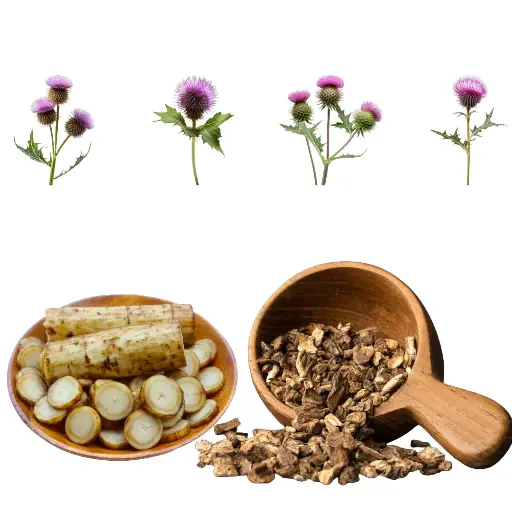BURDOCK ROOT