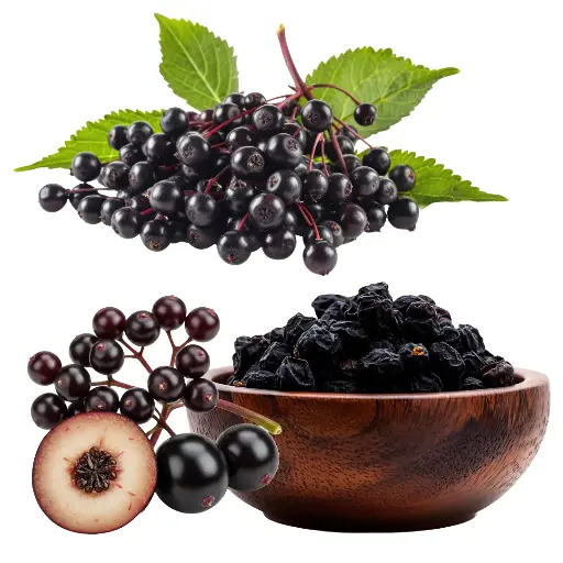 ELDERBERRY WHOLE